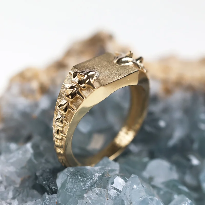 Bestselling Jewelry At Special Promotional Rates Snake gold signet ring