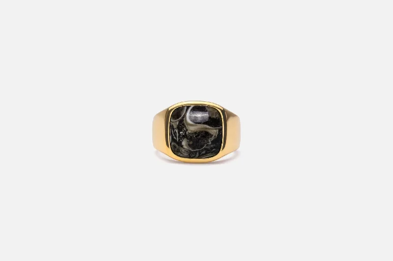Seasonal Jewelry Sale – Upgrade Your Collection IX Cushion Turtle Agate Gold Plated Signet Ring