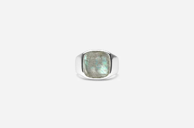 Romantic Heart-Shaped Jewelry For Special Gifts IX Cushion Signet Labradorite Ring