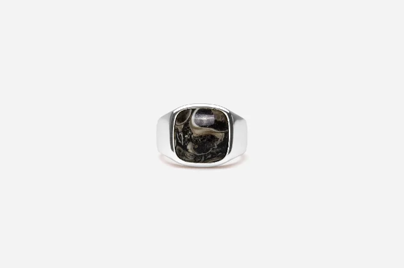 Limited Stock On Premium Jewelry At Low Prices IX Cushion Turtle Agate Silver Signet Ring