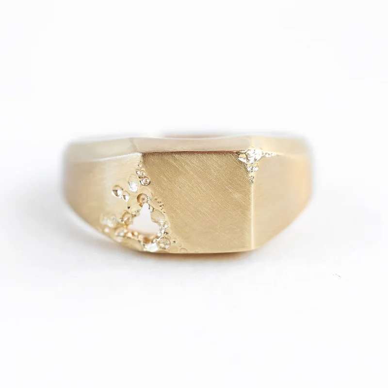 Fashion-Forward Jewelry At Incredible Prices Aidan signet ring