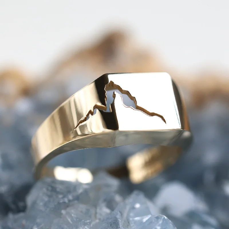Flash Sale On Stunning Jewelry – Don't Miss Out Orson cracked signet ring